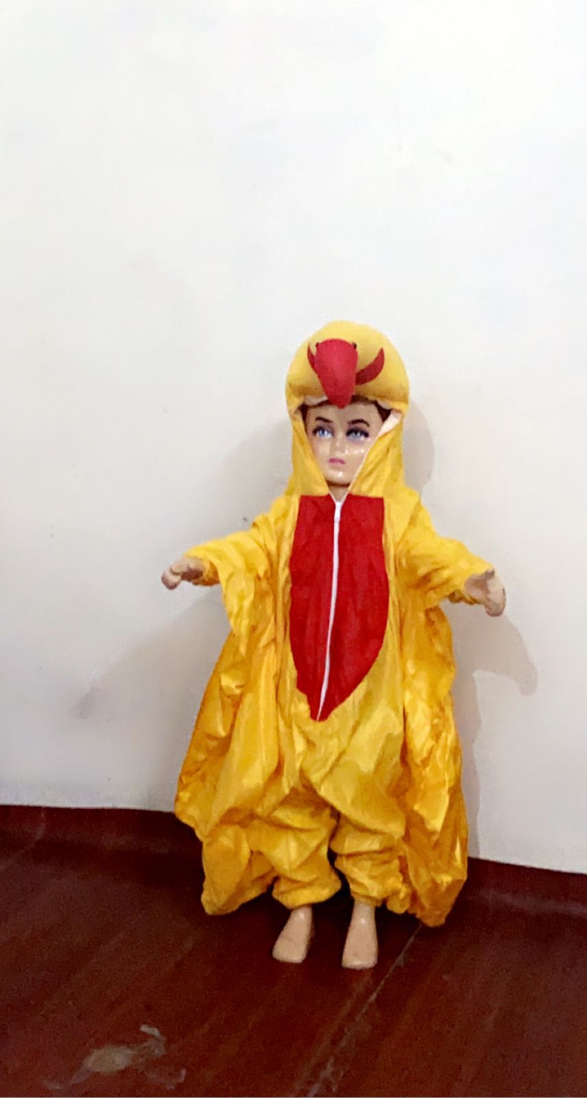 Costume image 